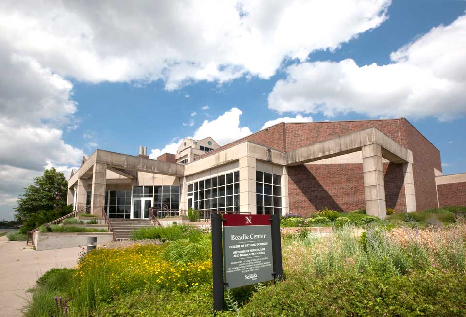 Building Image