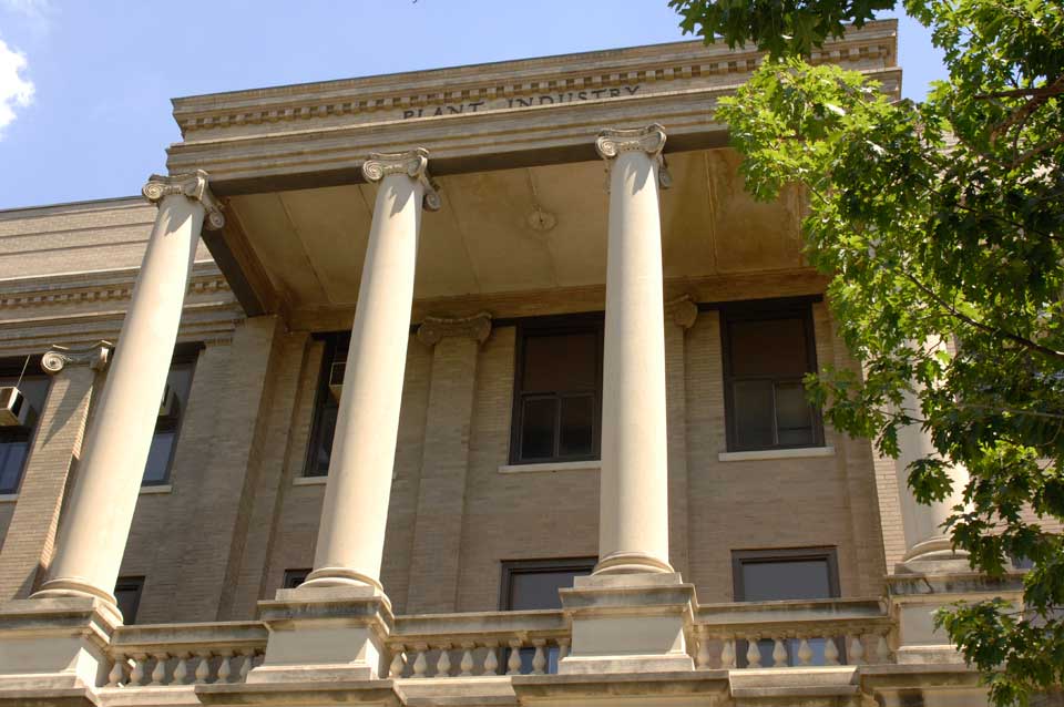 Building Image
