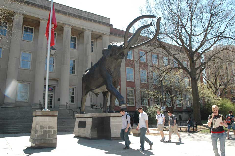 Building Image